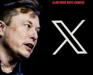 Elon Musk Buys Xvideos A Surprising Acquisition